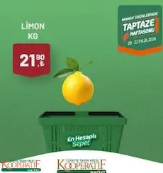 LİMON KG LİMON KG